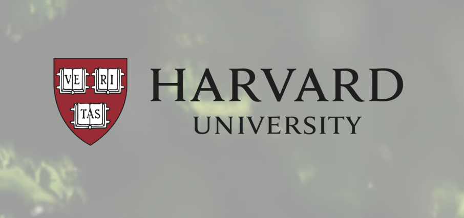 हार्भार्डको अन्तराष्ट्रिय विद्यार्थी भिसा खारेज गर्ने निर्णयमा अस्थायी रोक